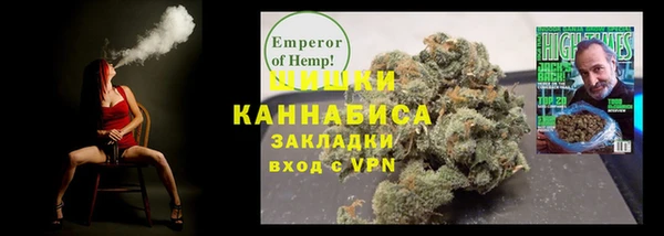 гашик Тында