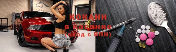 сатива Нягань