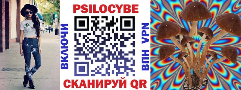 Галлюциногенные грибы Psilocybine cubensis  хочу наркоту  Красково 